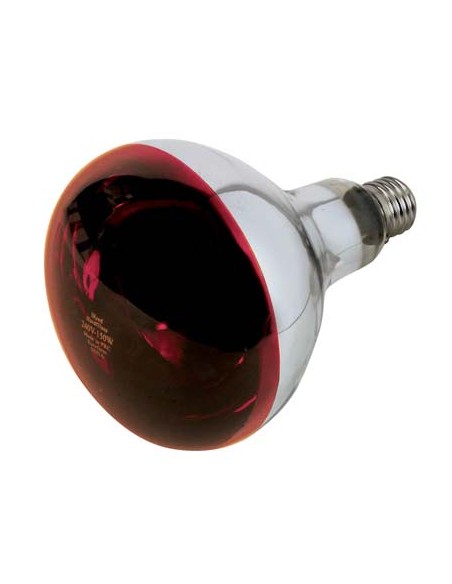 LAMPADA RIFLETTORE PULCINI PHILIPS INFRAROSSI VOLT 230 WATT 150 E27 MM 125