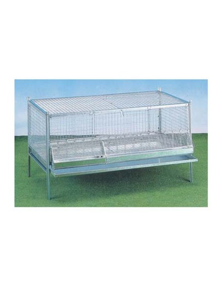 GABBIA PULCINI ANTITOPO CM 100X50 H.CM 60