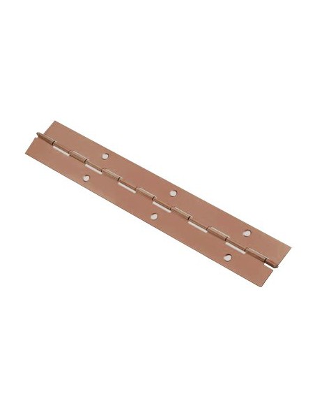 CERNIERA A NASTRO 215 VALTOCE ACCIAIO OTTONATO S.MM 0,7 MM 32 H.MM 2040