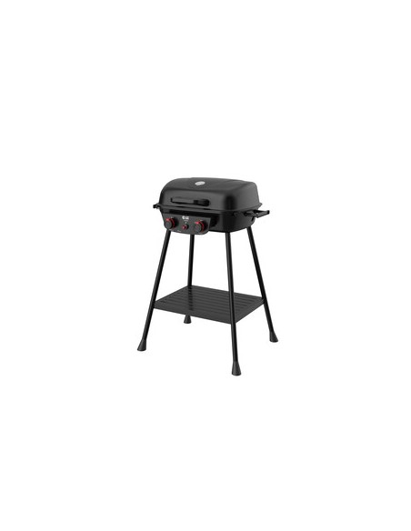 C BARBECUE A GAS 2 FUOCHI EASY HOT