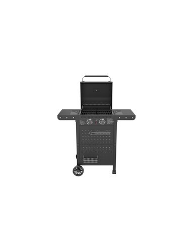 C BARBECUE A GAS 2 FUOCHI HOT 2