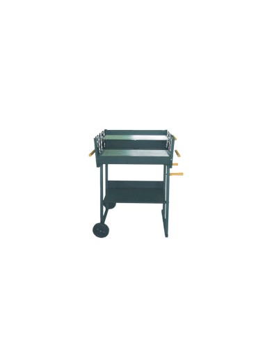 C BARBECUE A CARBONE 52X87X90CM KILAUEA